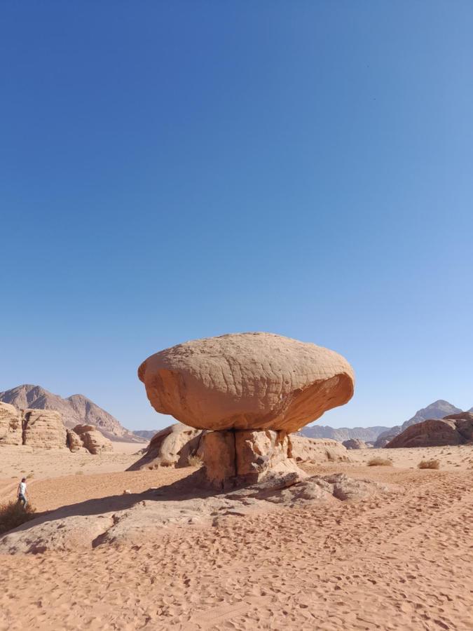 Wadi Rum Camels Camp Екстериор снимка