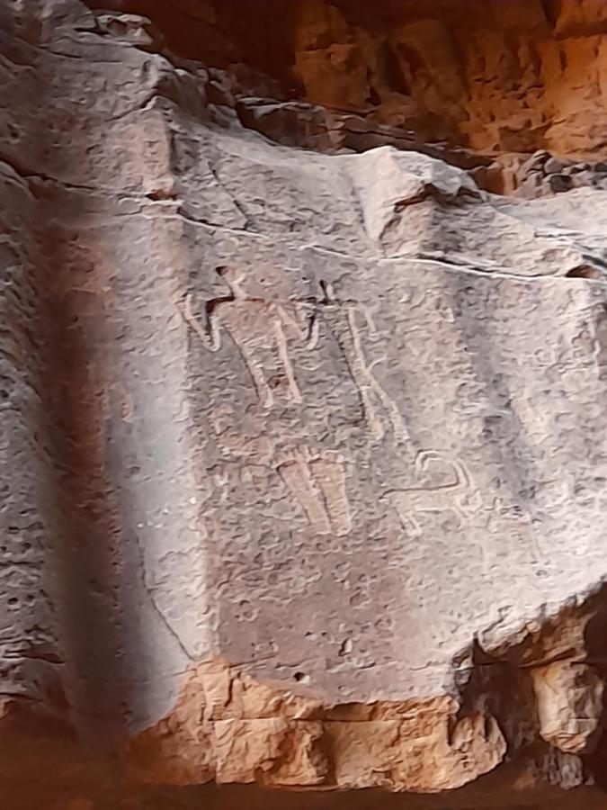 Wadi Rum Camels Camp Екстериор снимка