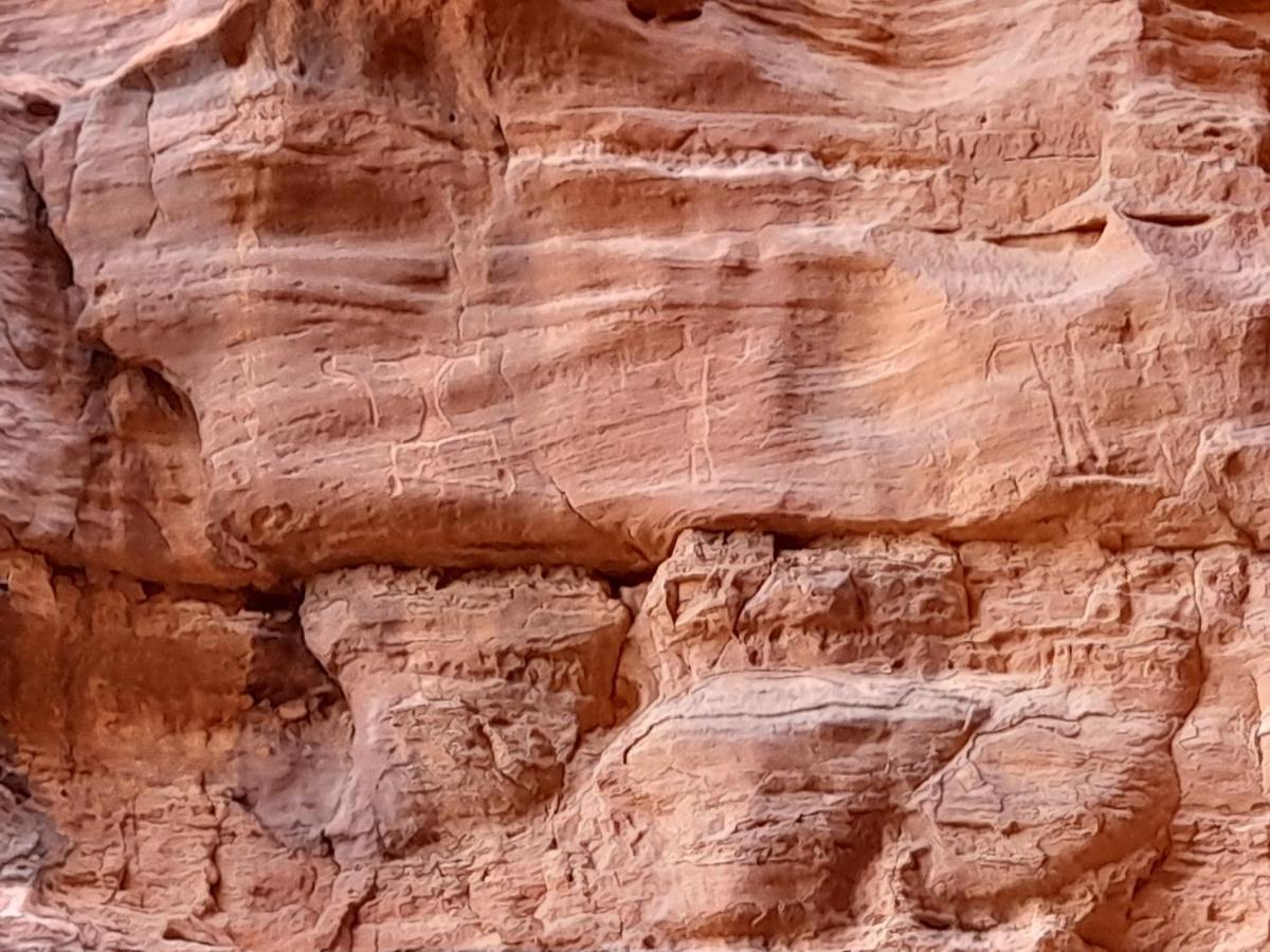 Wadi Rum Camels Camp Екстериор снимка